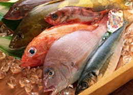راه تشخیص ماهی سالم از فاسد