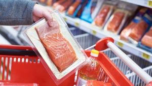 فواید ماهی سالمون برای زنان باردار