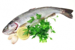 فواید سلامتی ماهی سالمون